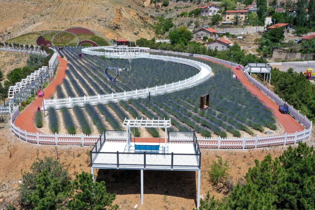 Manzarasıyla büyülüyor! Konya’nın yeşil ilçesine mor bahçe 2